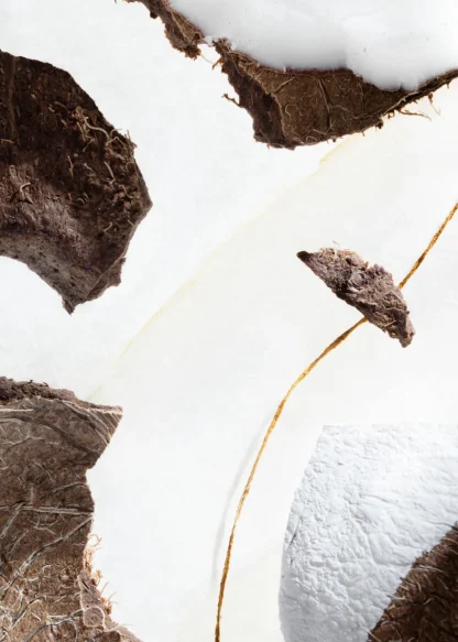 Perle De Coco Body Scrub | & Other Stories Outlet