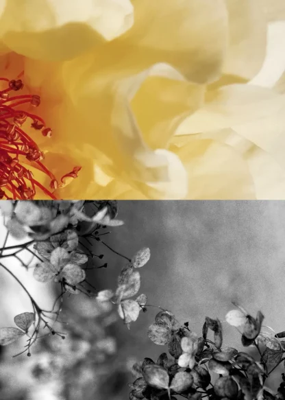 Poem A Day Eau De Toilette | & Other Stories Sale