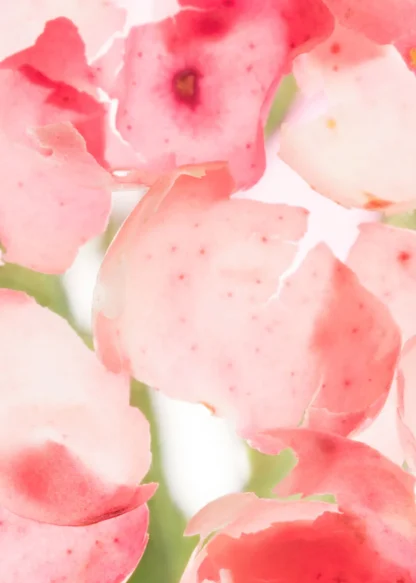 Sardonyx FIre Body Mist | & Other Stories Clearance