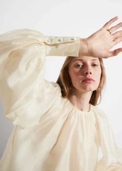 Sheer Blouse | & Other Stories Shop